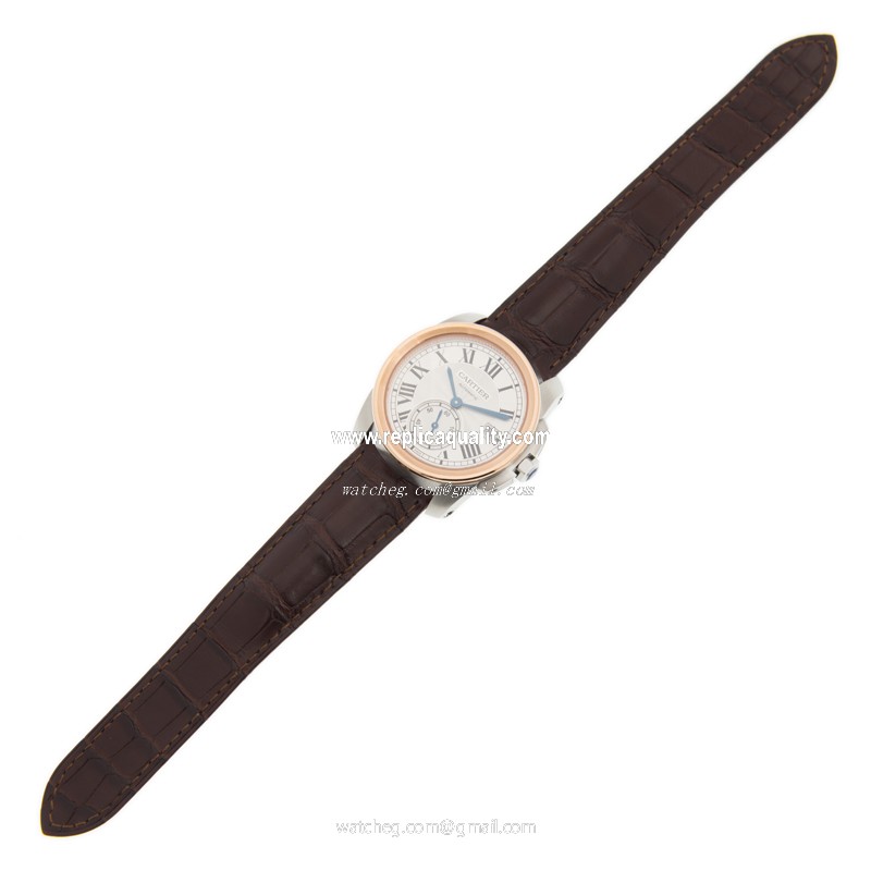 Cartier WSCA0002 2