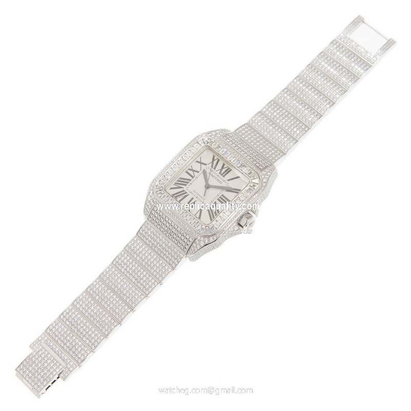 Cartier W20073X8-100XL 2