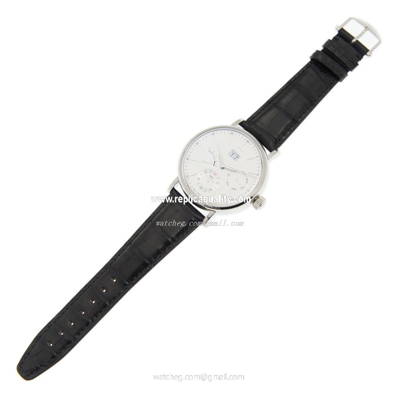 IWC IW516201 2