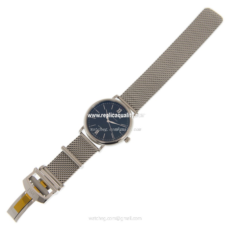 IWC IW356508 2