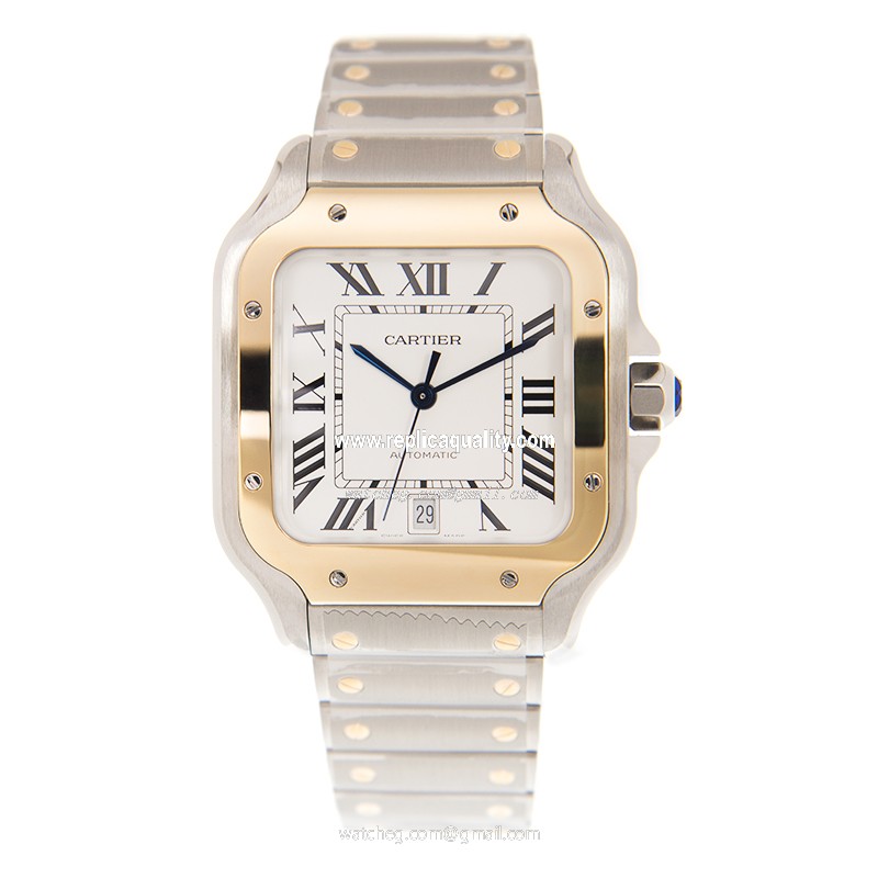 Cartier W2SA0006 2