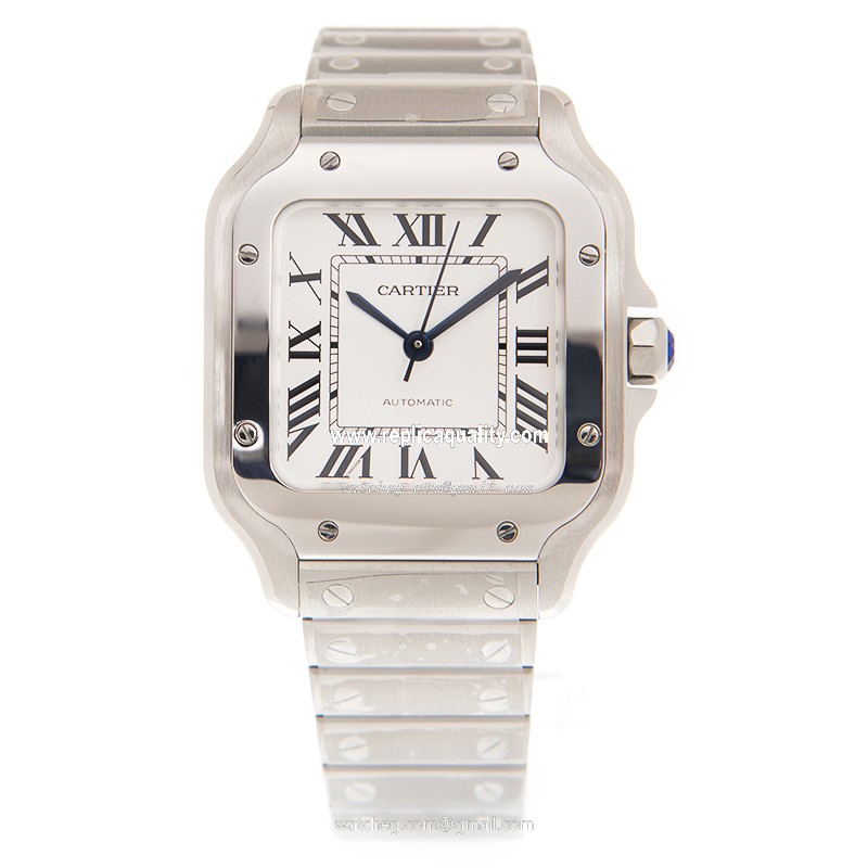 Cartier WSSA0010 2
