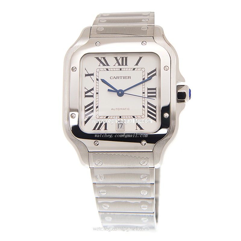 Cartier WSSA0009 2