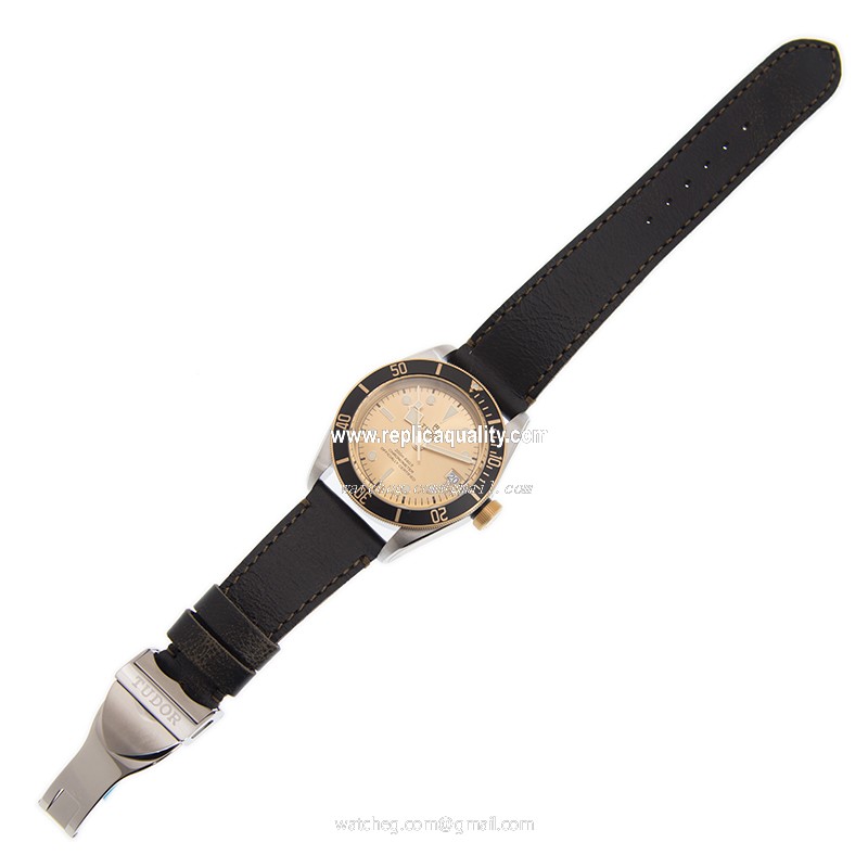 Tudor 79733N CHAMPANGE-LEATHER STRAP 2