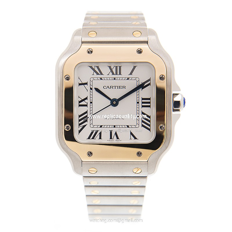 Cartier W2SA0007 2