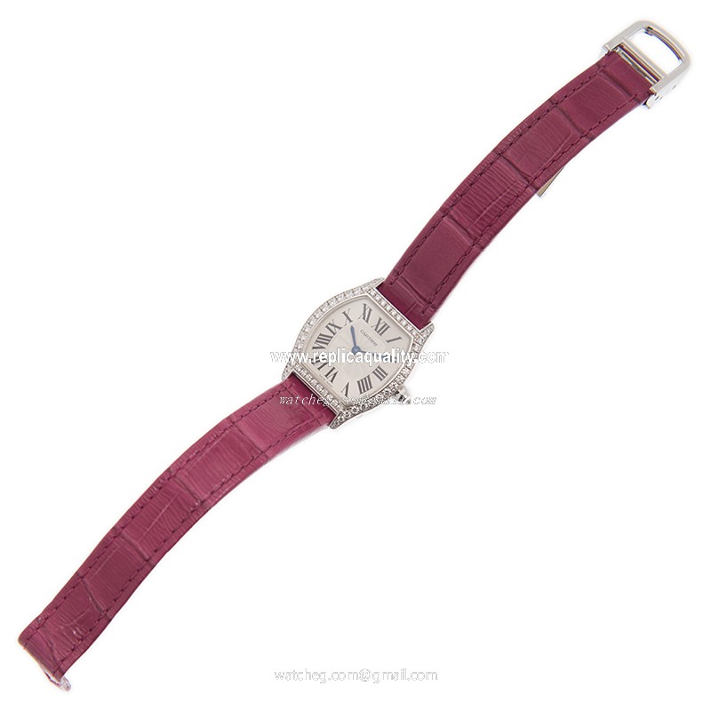 Cartier WA501007 2
