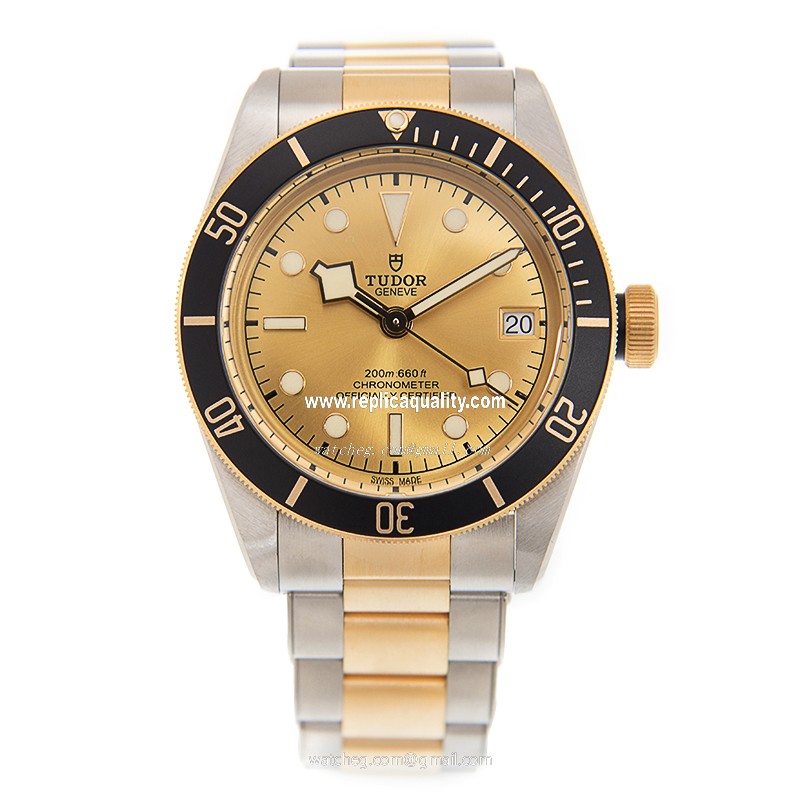 Tudor 79733N CHAMPANGE 2