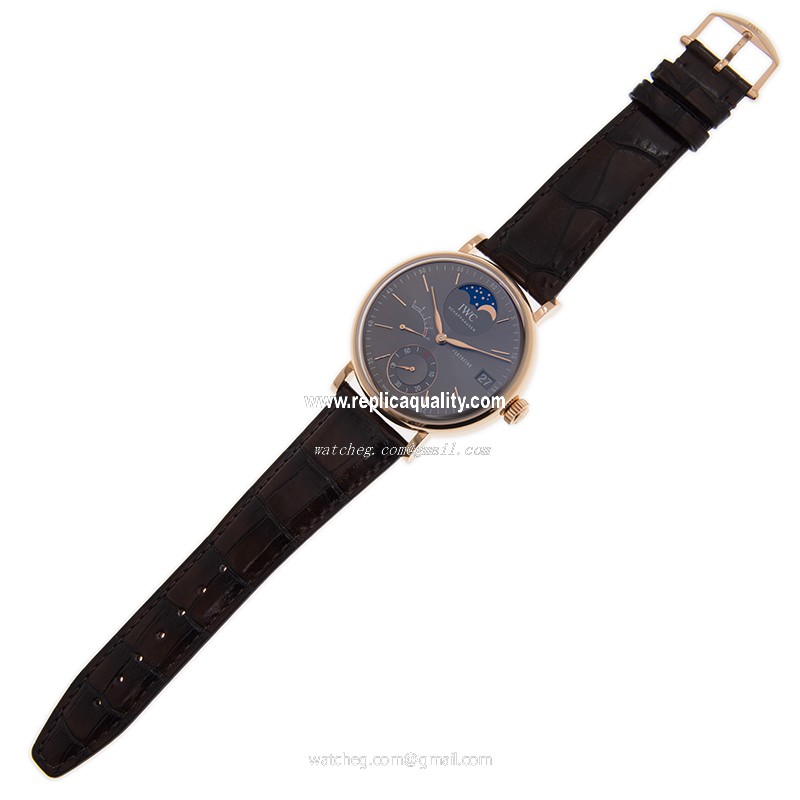 IWC IW516403 2