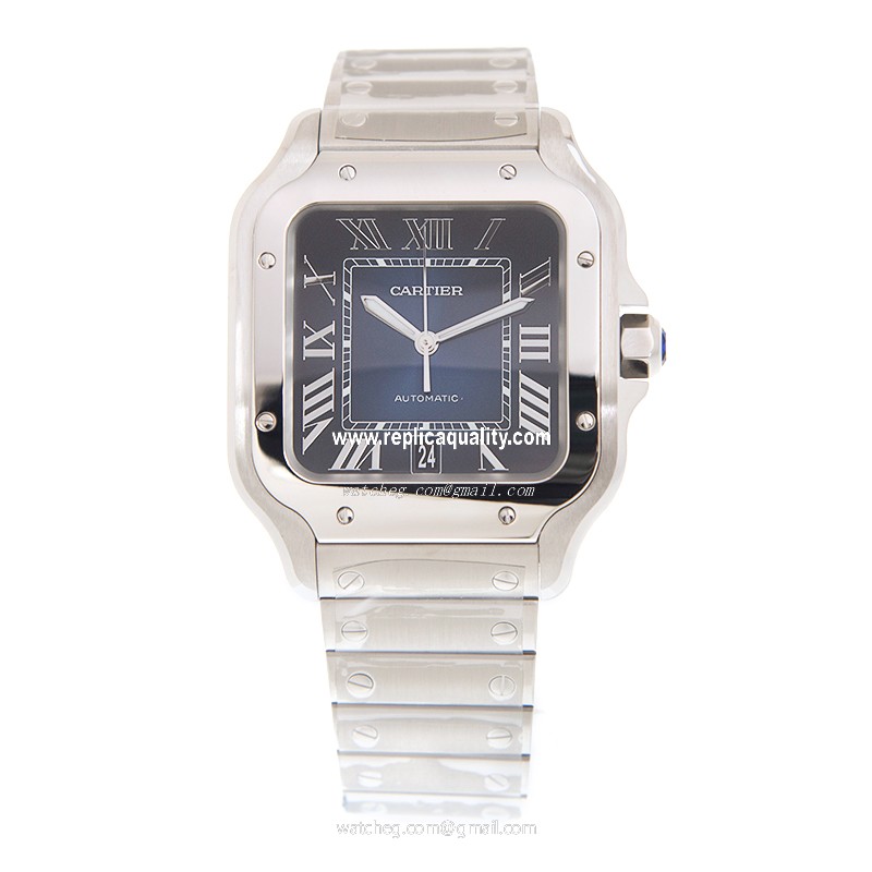 Cartier WSSA0013 2