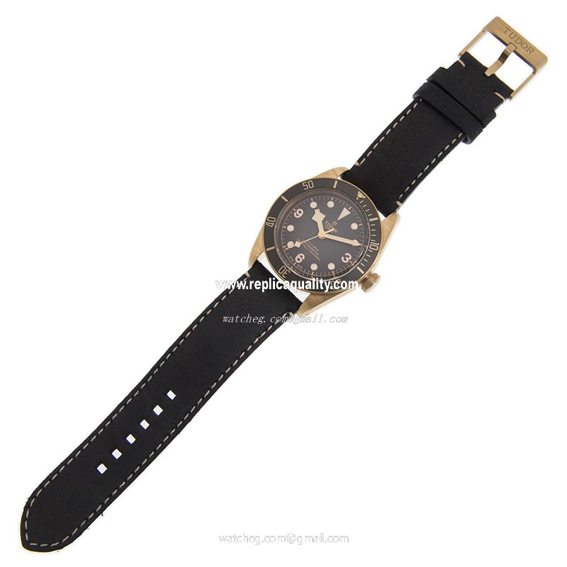 Tudor 79250BA-LS 2
