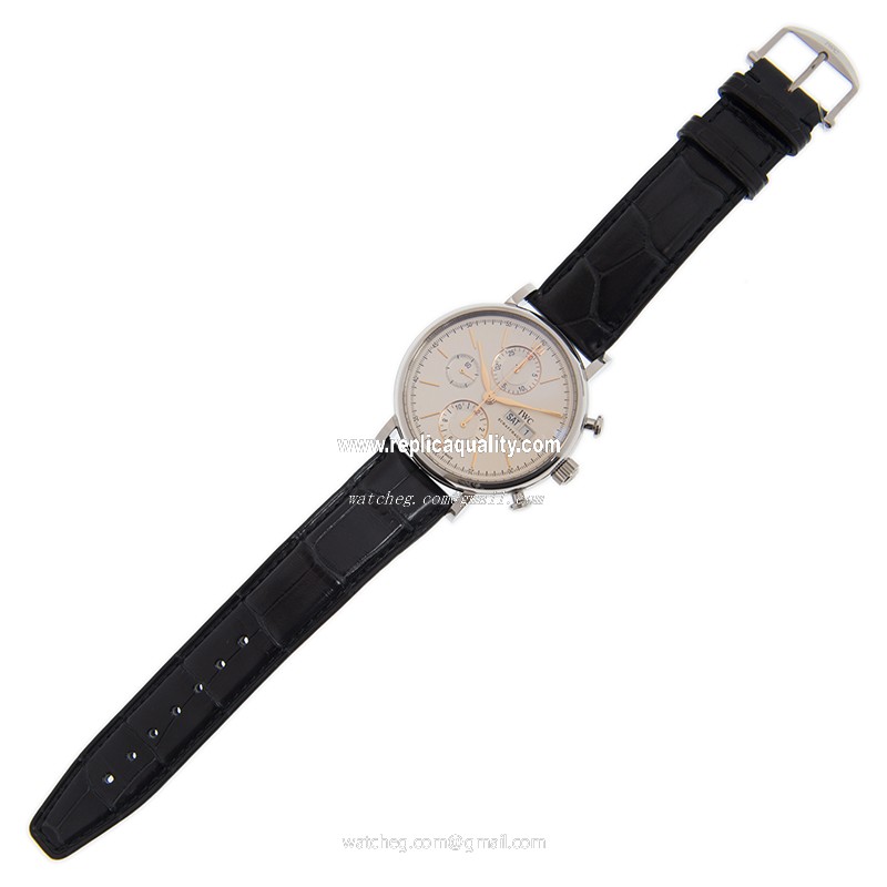 IWC IW391031 2