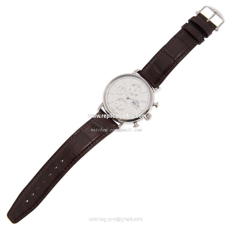 IWC IW391027 (IW391007) 2