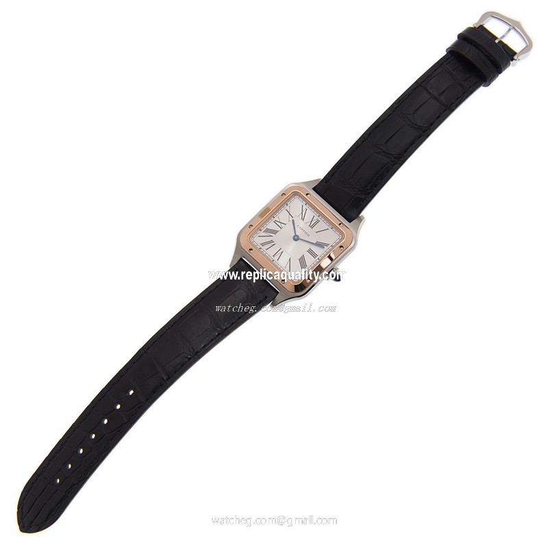 Cartier W2SA0011 2