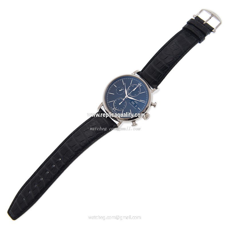 IWC IW391029 (IW391008) 2