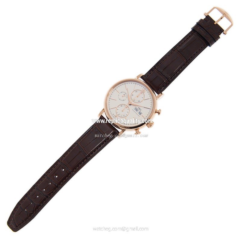 IWC IW391025   2