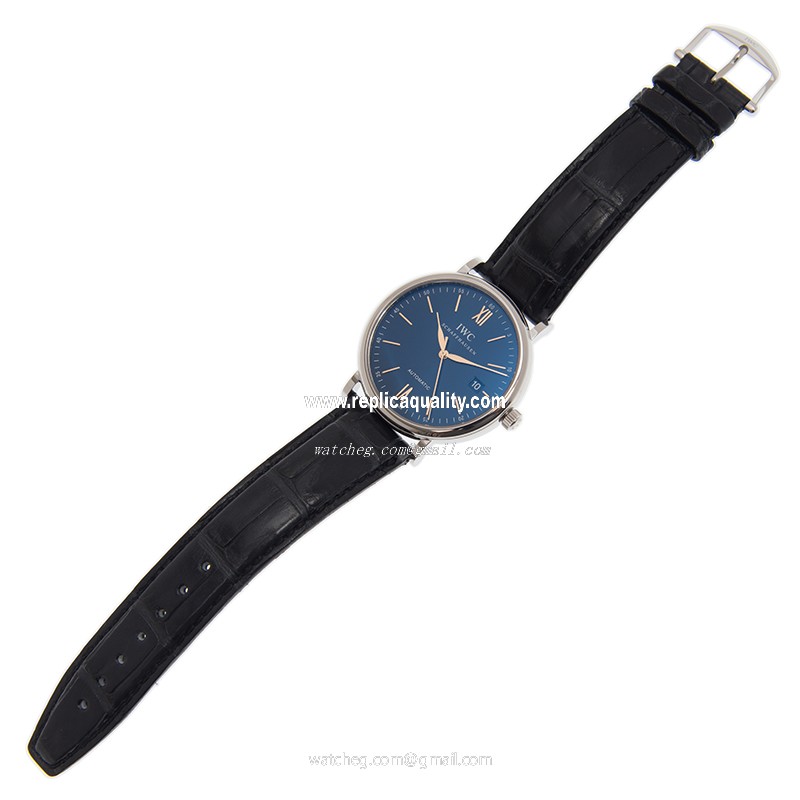 IWC IW356523 2