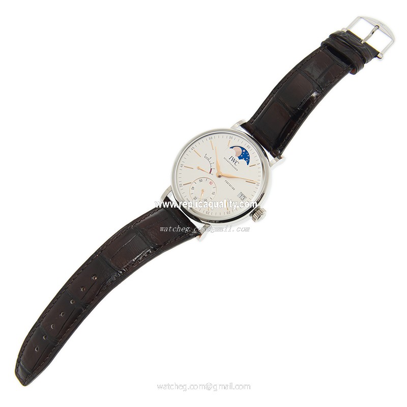 IWC IW516401 2