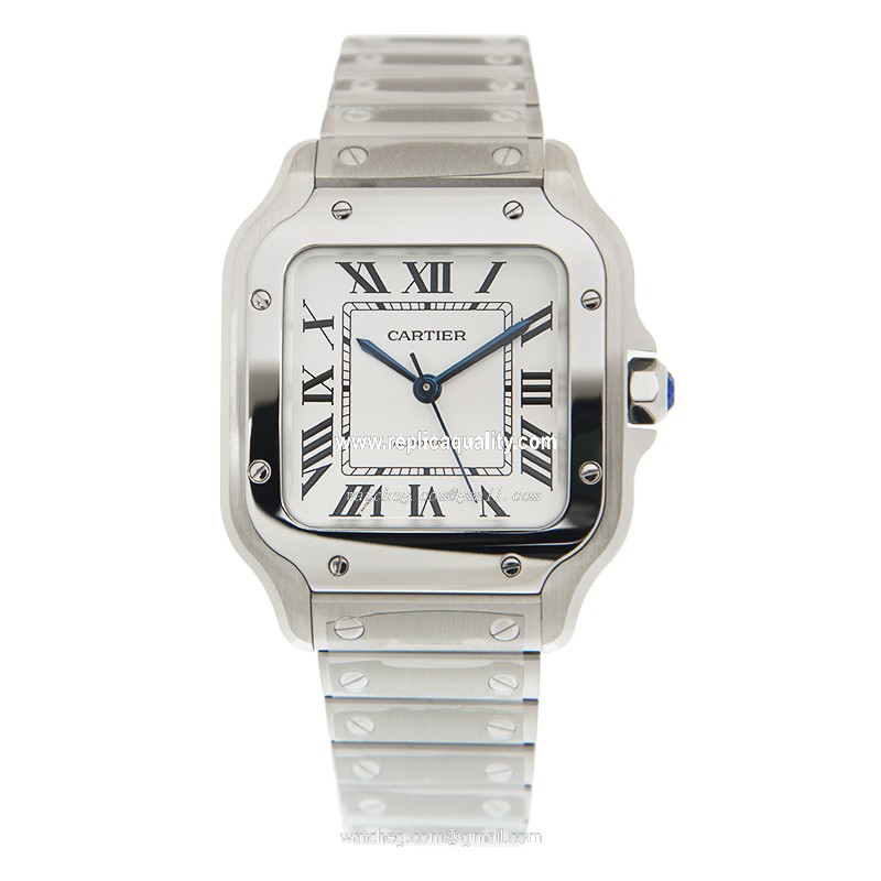Cartier WSSA0029 2