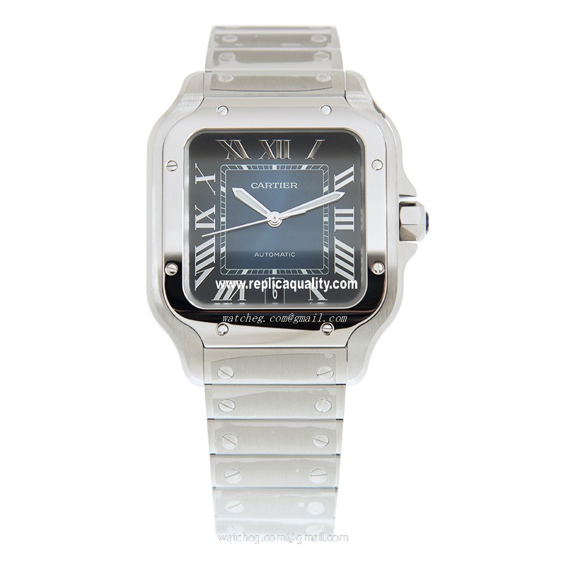 Cartier WSSA0030 2