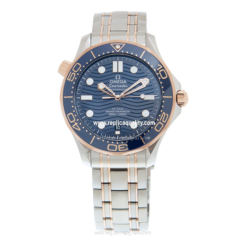 Omega 210.20.42.20.03.002 2