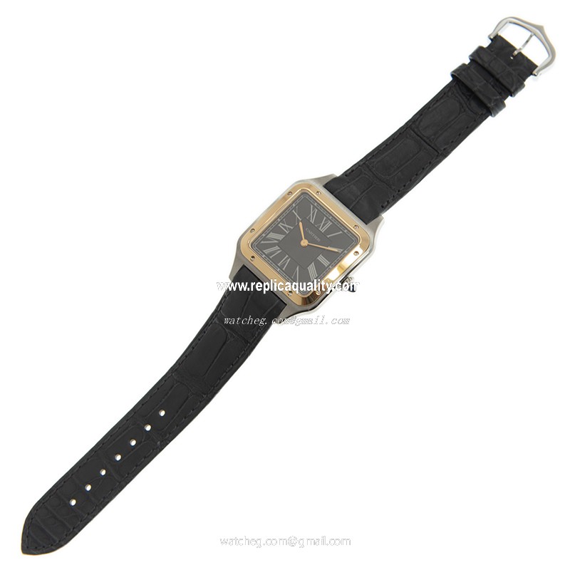 Cartier W2SA0015 2