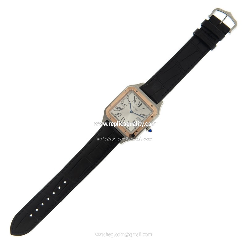 Cartier W2SA0017 2