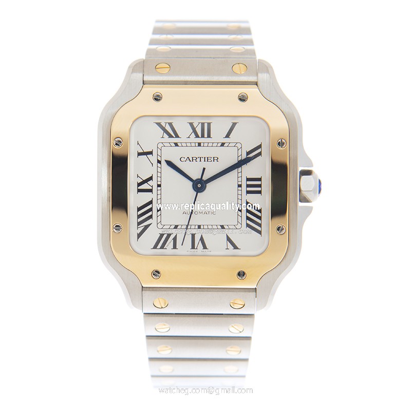 Cartier W2SA0016  2