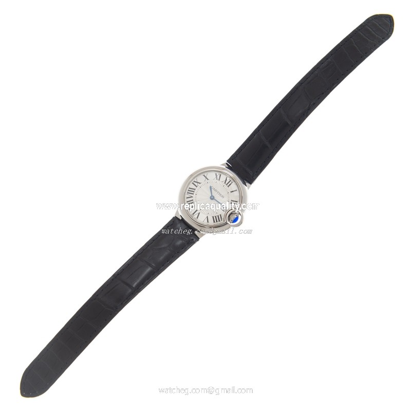 Cartier WSBB0034 2