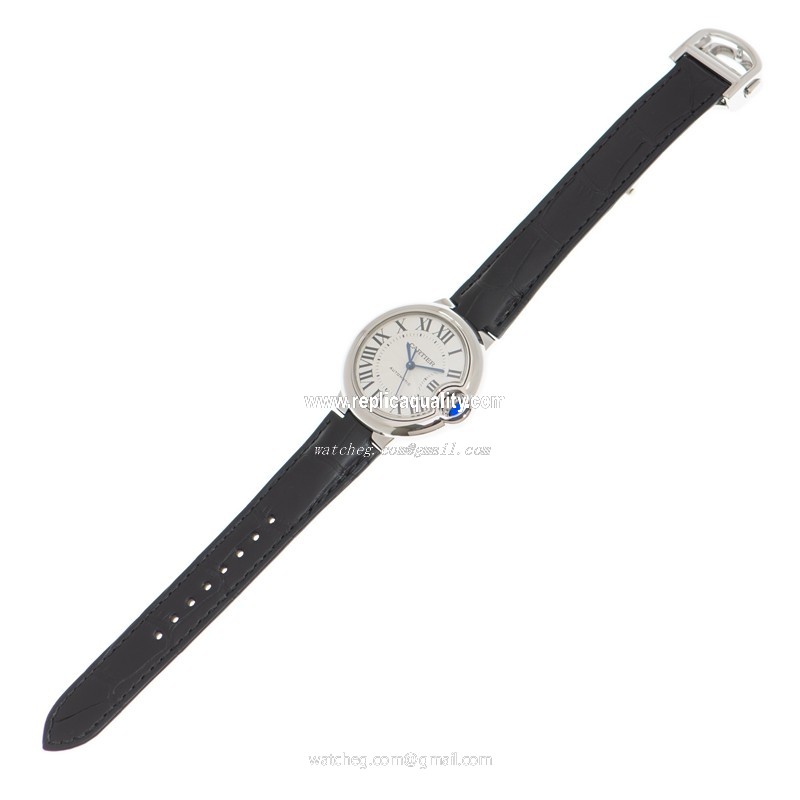 Cartier WSBB0030 2