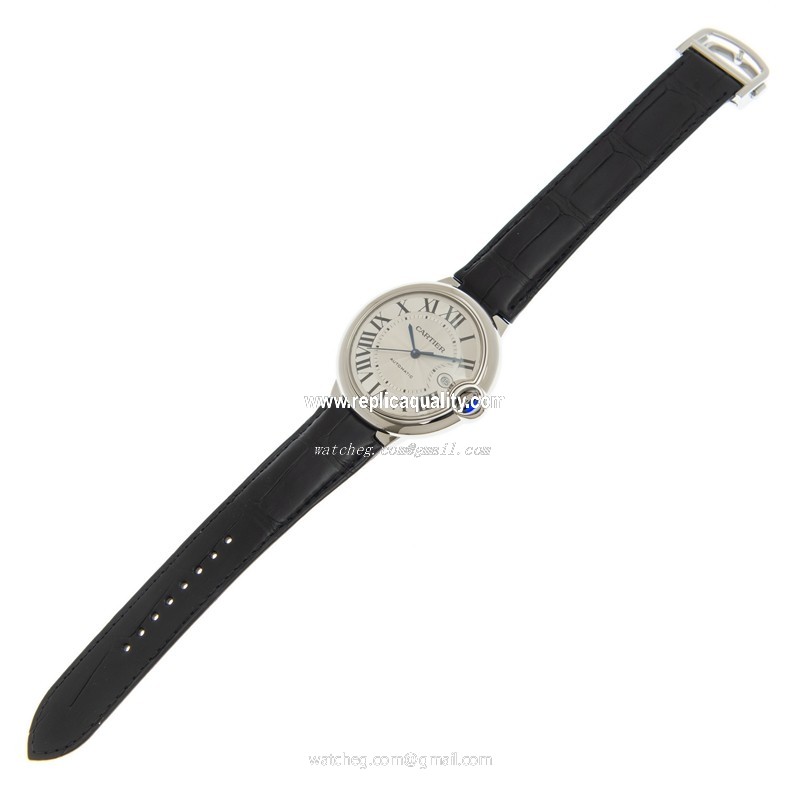 Cartier WSBB0026 2