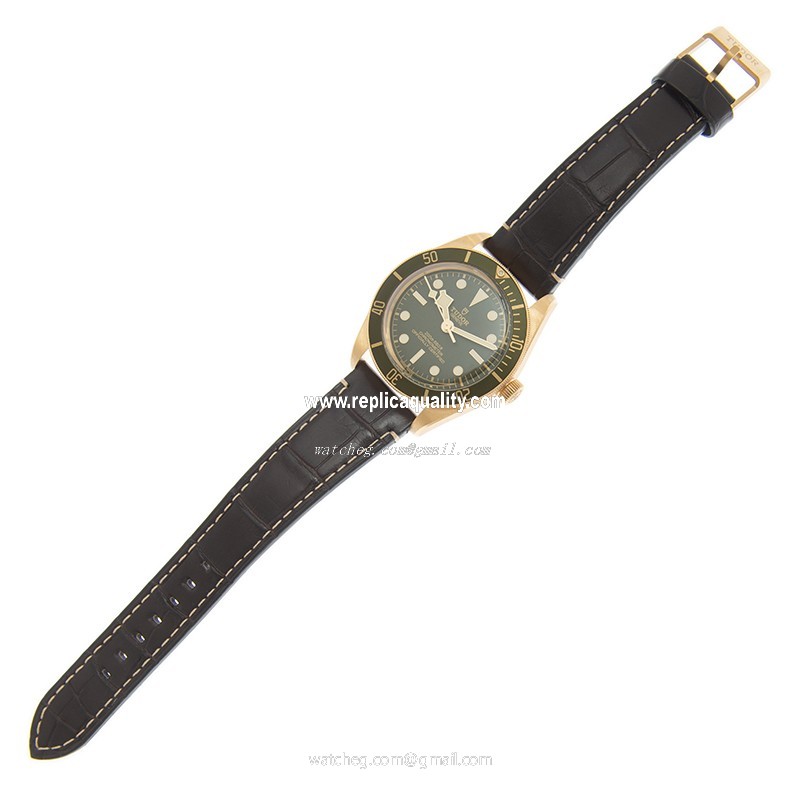 Tudor 79018V LEATHER STRAP 2