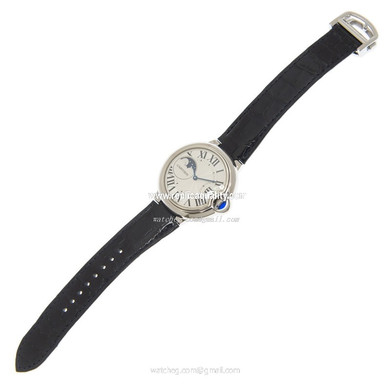 Cartier WSBB0029 2