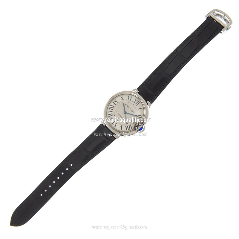 Cartier WSBB0039 2