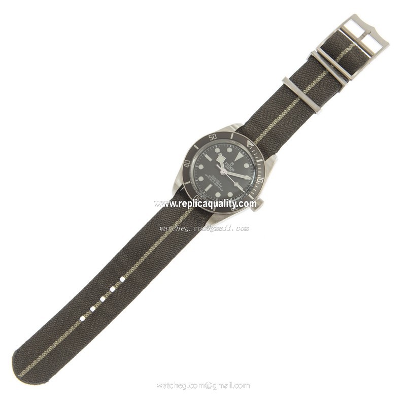 Tudor 79010SG CANVAS STRAP 2