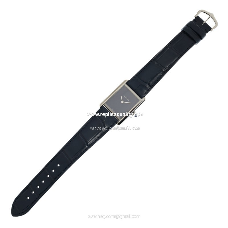 Cartier WSTA0055 2