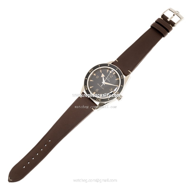 Omega 234.32.41.21.01.001 2