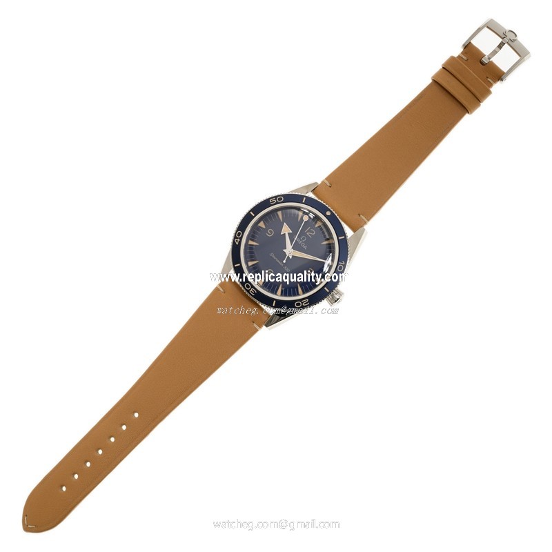 Omega 234.32.41.21.03.001 2
