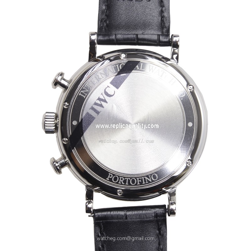 IWC IW391008 3