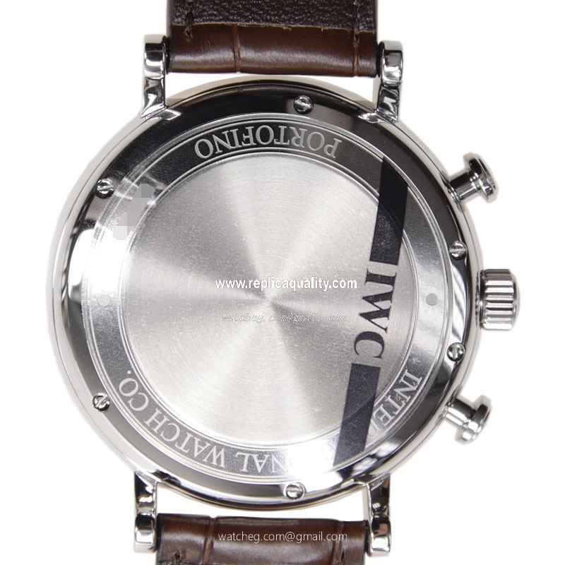 IWC IW391007 3
