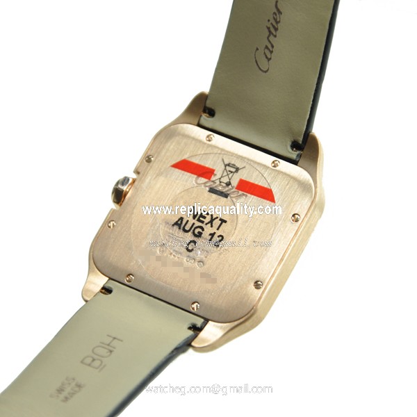 Cartier W2009251 3