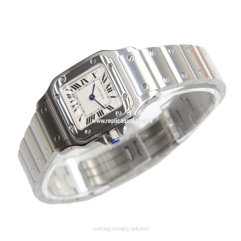 Cartier W20056D6 3