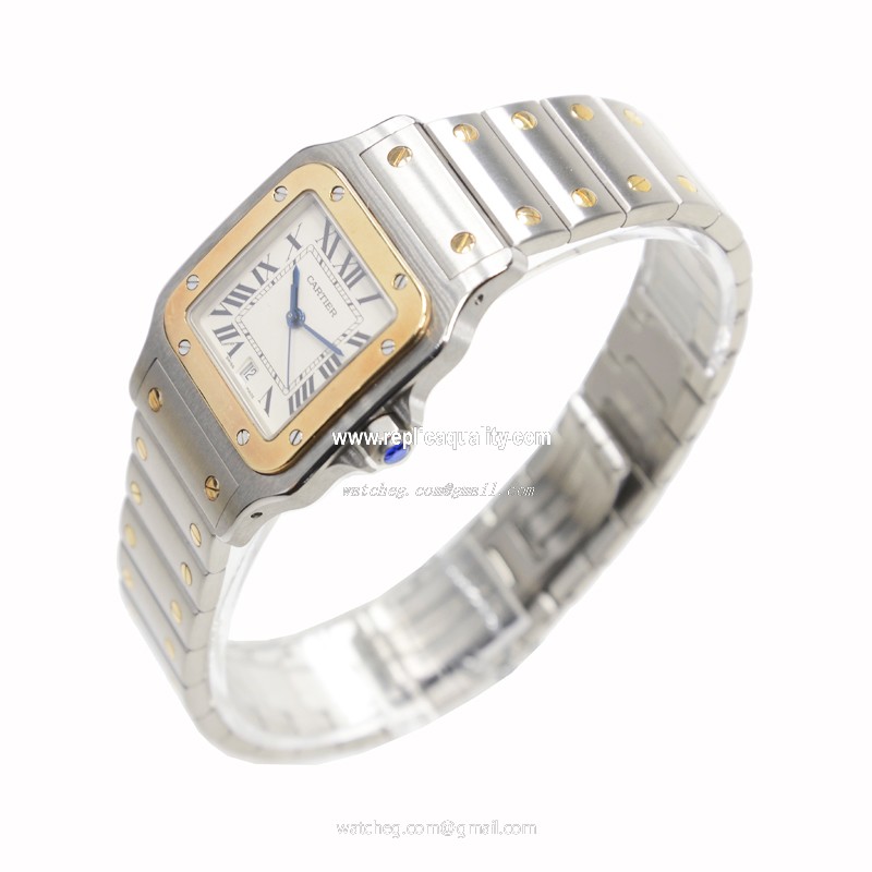 Cartier W20011C4 3