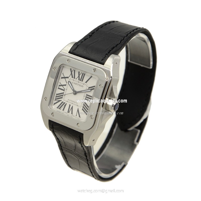 Cartier W20106X8 3