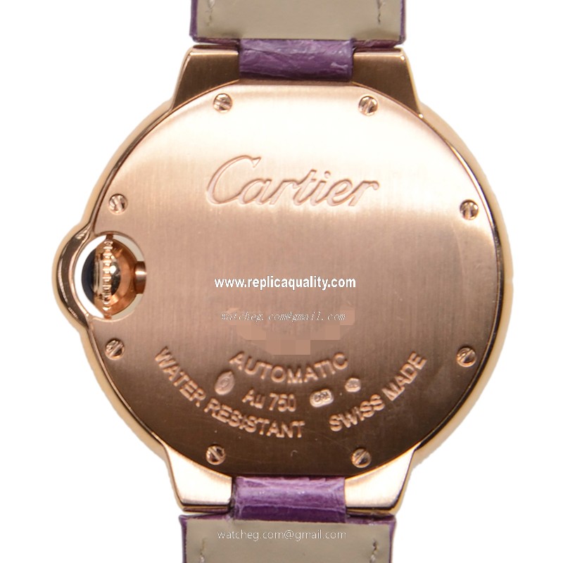 Cartier WE902040 3