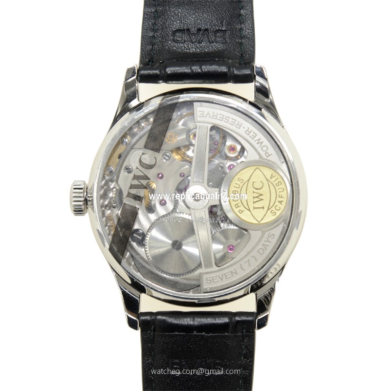 IWC IW500114 3