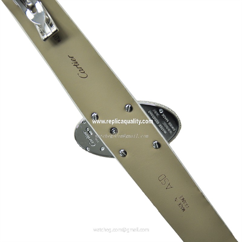 Cartier WJ301949 3