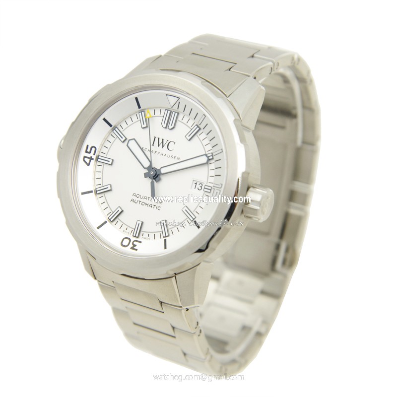IWC IW329004 3