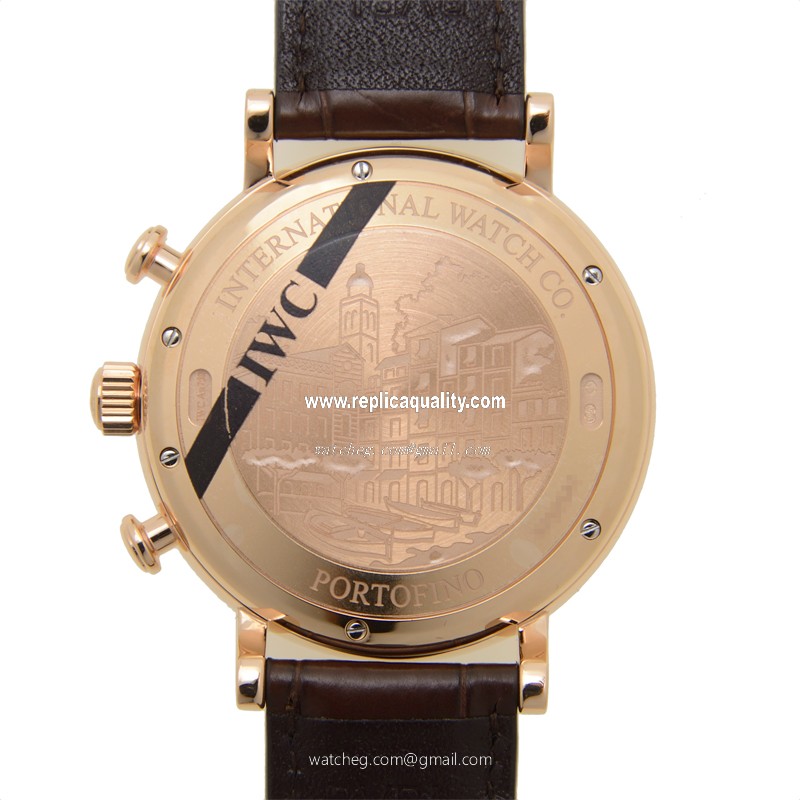 IWC IW391020 3