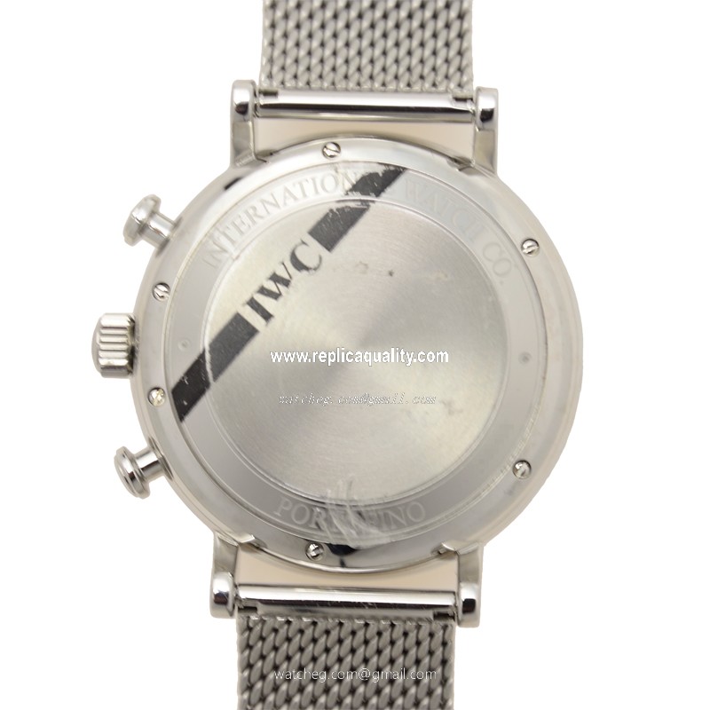 IWC IW391006 3