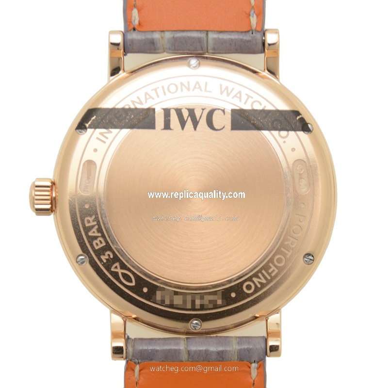 IWC IW458107 3